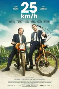  25 км/ч 